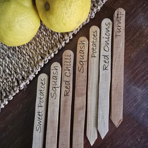 Veggie Name Stakes